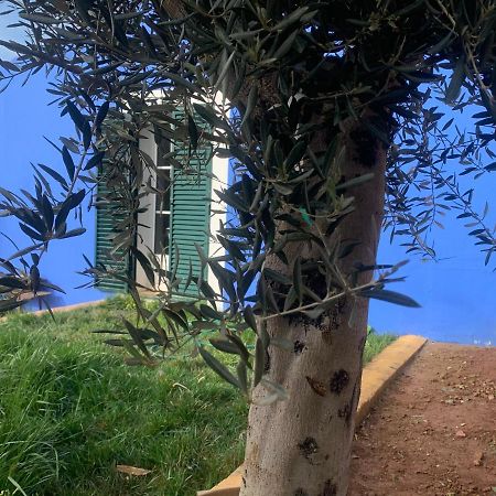 Casa Dos Mangues Vendégház São Martinho do Porto Kültér fotó